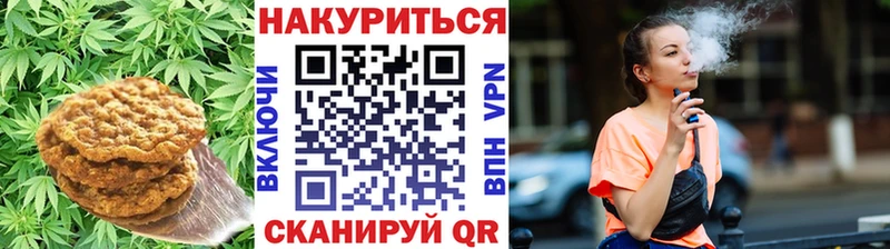 Купить где  Отрадный  Canna-Cookies конопля 