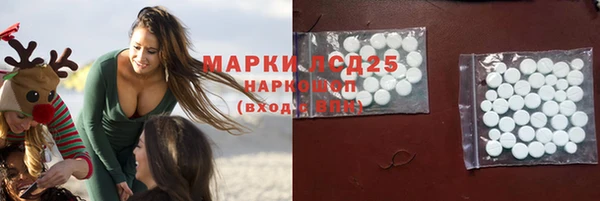прущие грибы Рославль